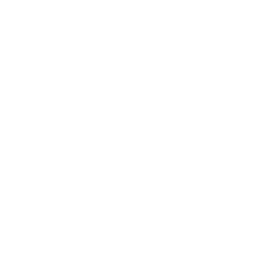 Print Button