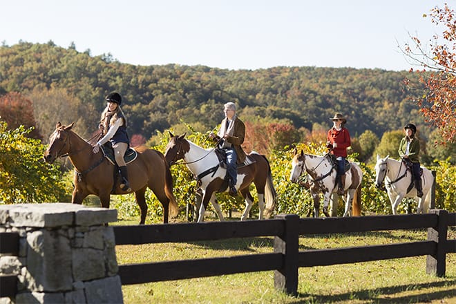 Keowee Vineyards Equestrian