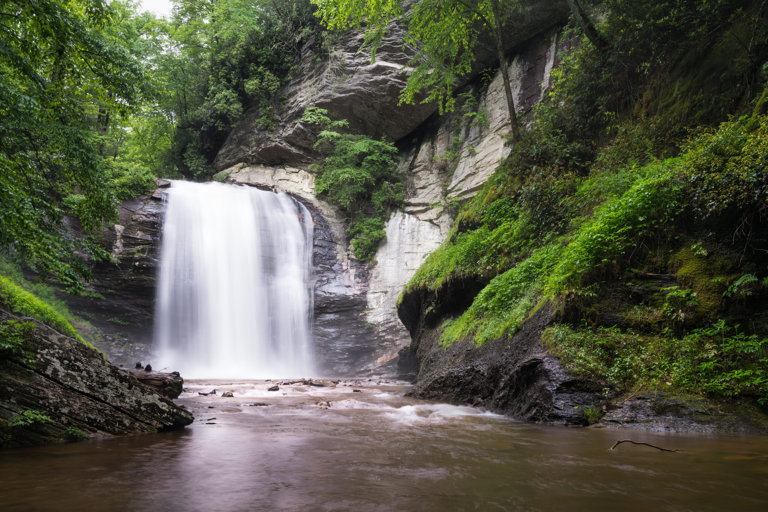 Looking Glass Falls, Brevard, NC