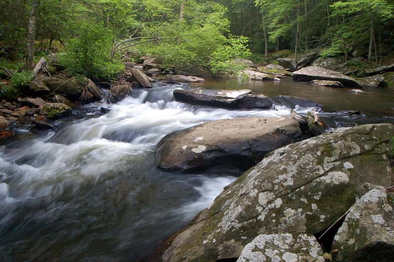 Boone Fork Trail