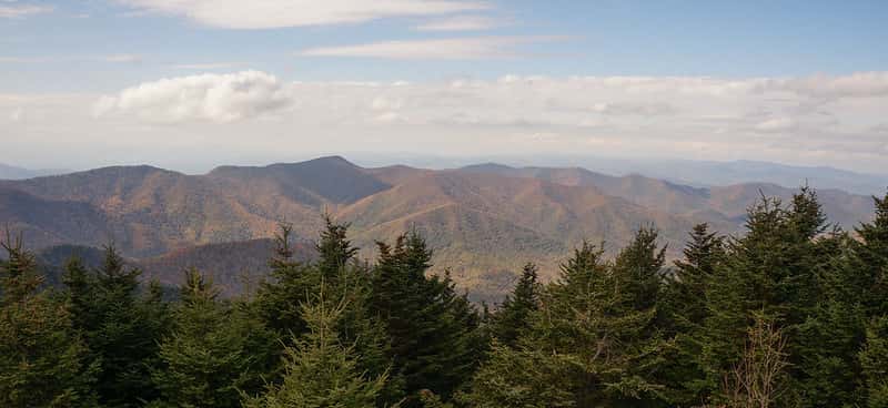 Green Knob Trail