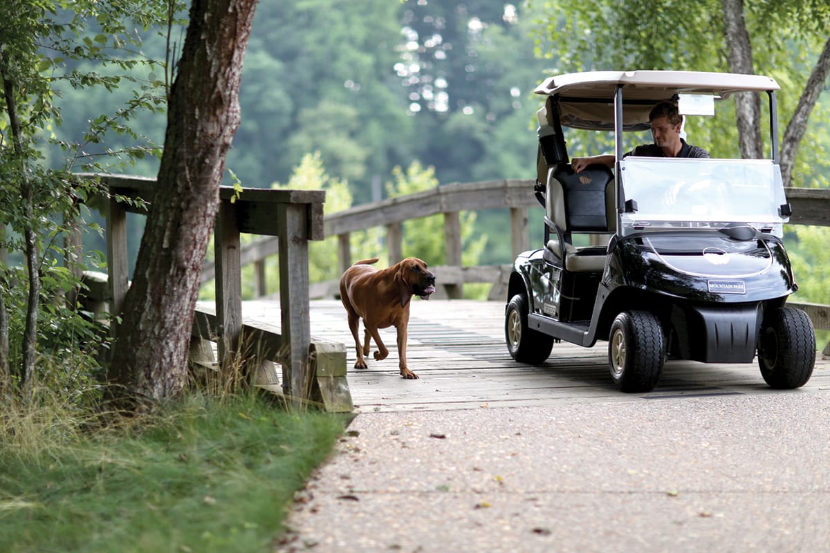 The Cliffs at Mountain Park Golf