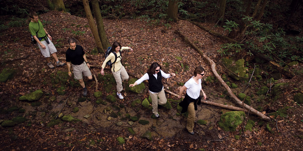 hikers