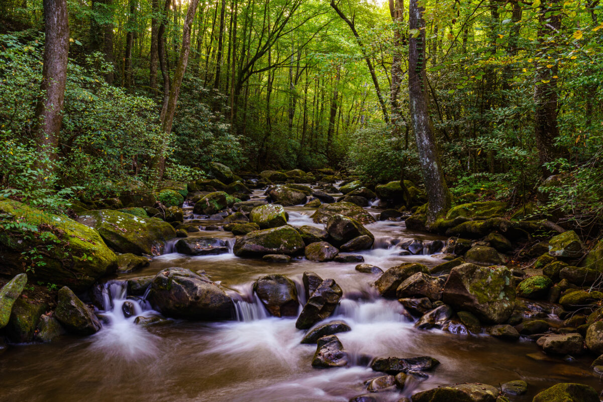 south carolina state parks
