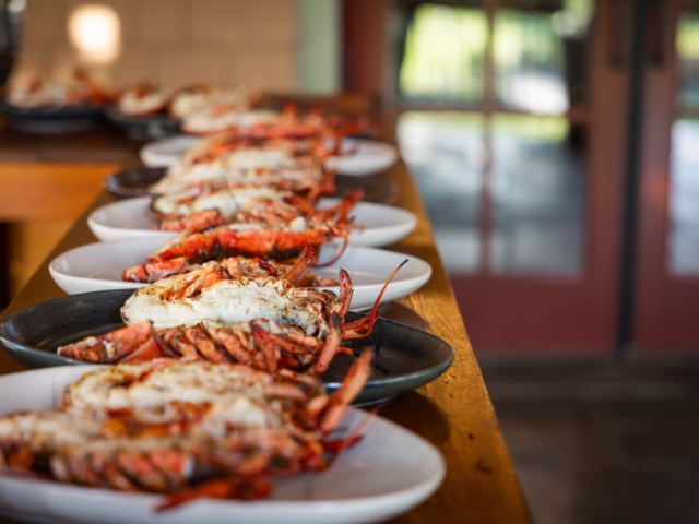 KF-Lobster-6