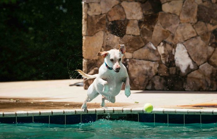 Cliffs Dog Days (Print Quality)-44-2